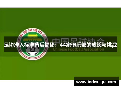 足协准入标准背后揭秘：44家俱乐部的成长与挑战