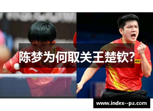陈梦为何取关王楚钦？