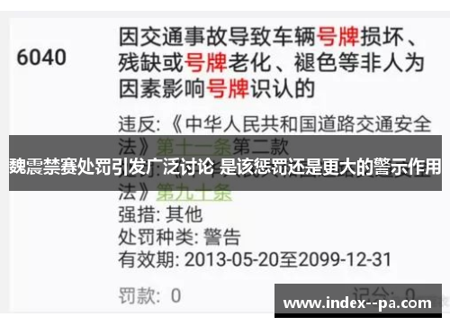 魏震禁赛处罚引发广泛讨论 是该惩罚还是更大的警示作用