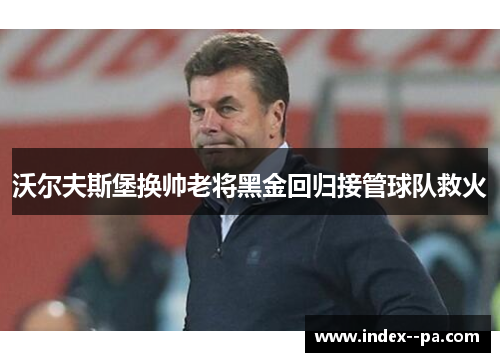 沃尔夫斯堡换帅老将黑金回归接管球队救火
