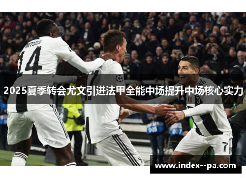 2025夏季转会尤文引进法甲全能中场提升中场核心实力 2025夏季转会尤文引进法甲全能中场提升中场核心实力