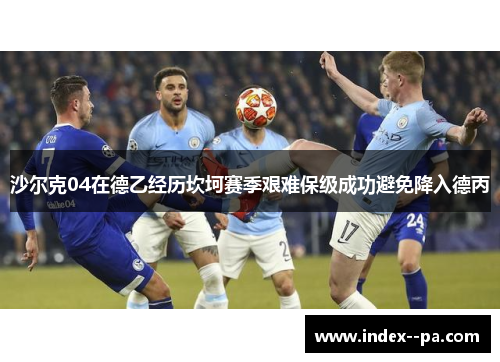 沙尔克04在德乙经历坎坷赛季艰难保级成功避免降入德丙
